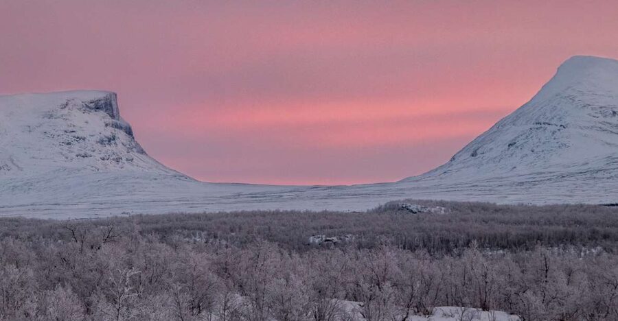 Abisko National Park: Scenic Morning Hike with Transfer - The Walk Itself: River Canyon Views and Birch Forest Stretches