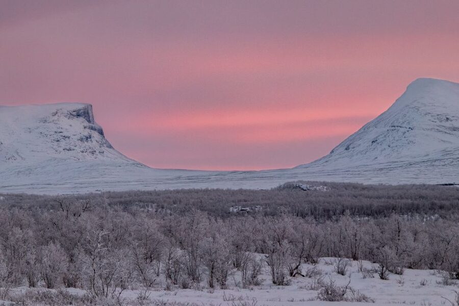 Abisko National Park: Scenic Morning Hike with Transfer - Who Should Book This Hike (And Who Might Skip It)