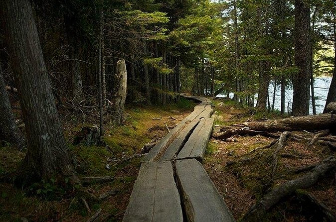 Acadia Cadillac Mountain Sunrise Half Day Private Tour & Hike - The Food and Drinks: A Small Inclusion With Big Day-Feel