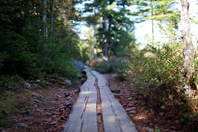 Acadia Full Day Private Tour & Hike - Why a private Acadia day feels different than winging it