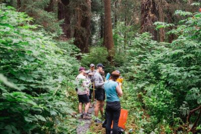 Adventure Hike | ALASKAN WILDERNESS TRAIL - Key Highlights You’ll Feel on Day One