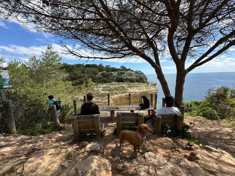 Algarve: 7 Seven Hanging Valley Hike Tour- Photos & Transfer - Why this short Seven Hanging Valleys hike feels bigger than it is