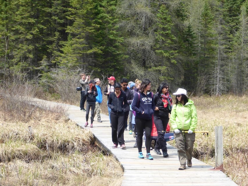 Algonquin Park Hiking: Adventure Tour from Toronto - Price and value: is $151 worth a 12-hour day?