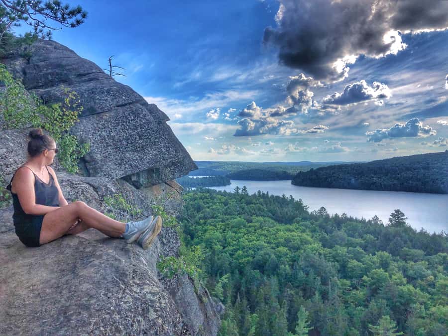 Algonquin Park Hiking: Adventure Tour from Toronto - Wildlife spotting: enjoy the chance, don’t bet your day on it