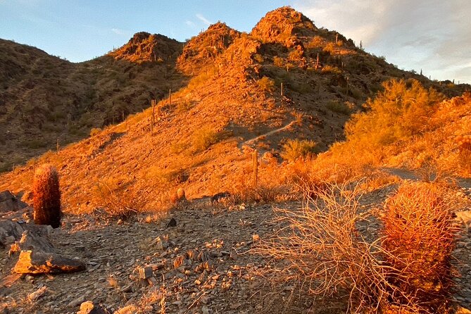 Amazing 2-Hour Guided Hiking Adventure in Phoenix, Arizona - Trail highlights: switchbacks, city views, and a saddle viewpoint