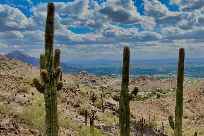 Amazing 2-Hour Guided Hiking Adventure in Phoenix, Arizona - What the guide teaches: desert ecology you can spot