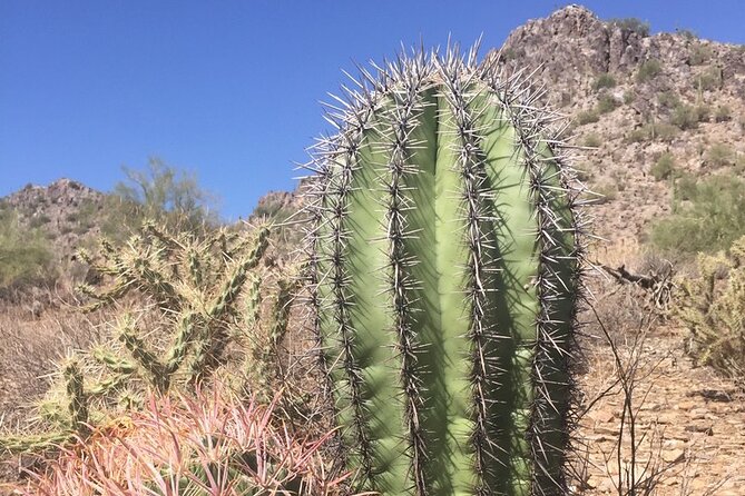 Amazing 2-Hour Guided Hiking Adventure in Phoenix, Arizona - Price and value: is $125 per person worth it?