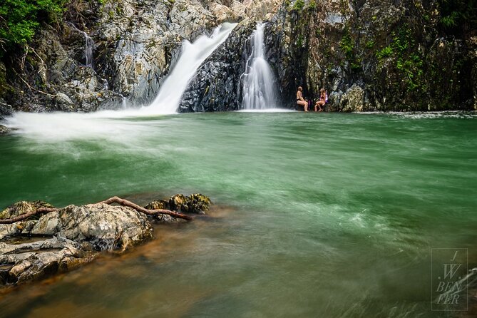 Amazing Daintree Rainforest Tour Waterfall Hike, Lunch, Swim & Crocodile Cruise - Key things you’ll remember from this Daintree day
