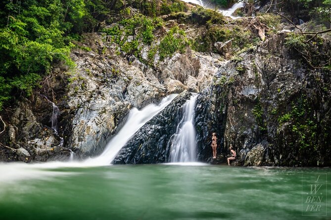 Amazing Daintree Rainforest Tour Waterfall Hike, Lunch, Swim & Crocodile Cruise - Gourmet lunch in a rainforest restaurant (and why the diet info matters)