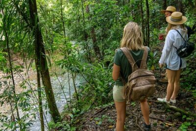 Amazing Daintree Rainforest Tour Waterfall Hike, Lunch, Swim & Crocodile Cruise - The guided rainforest hike to a secluded waterfall (and what “walk” really means)