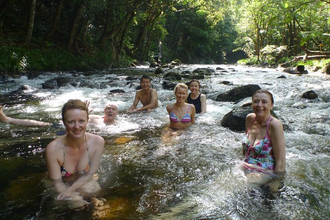 Amazing Daintree Rainforest Tour Waterfall Hike, Lunch, Swim & Crocodile Cruise - Price and value: is $182.90 a fair deal?