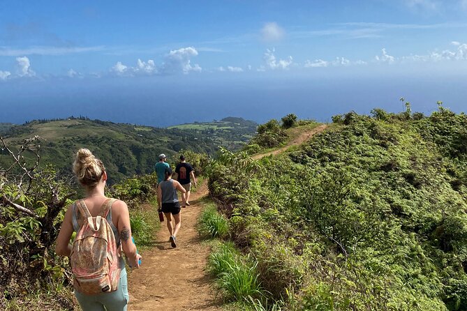Amazing Maui Ridge Hike - The Waihee Ridge plan: what you really do and how long it takes