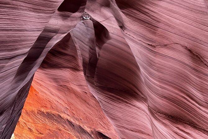Antelope Canyon Lake Powell Guided Kayaking and Hike Tour - Swimming in Lake Powell: the reset button