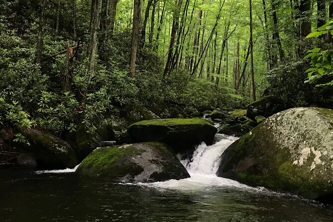Appalachian Waterfalls Hike - Key highlights at a glance