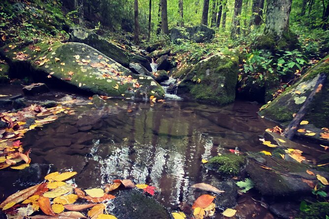 Appalachian Waterfalls Hike - Price and value: $240 per group can be a bargain or a splurge