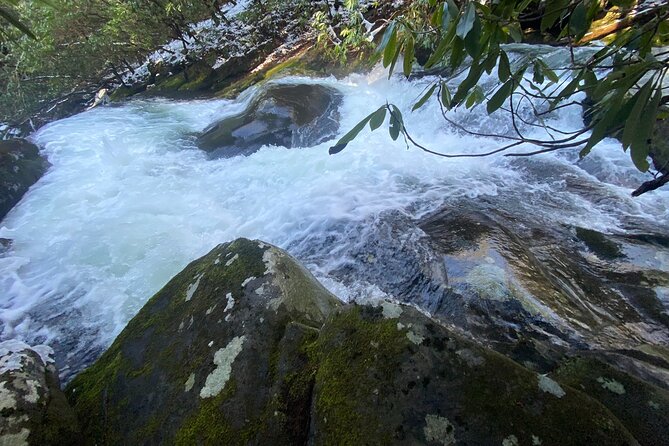 Appalachian Waterfalls Hike - The hike plan: gentle grade, close-to-car comfort, cooler waterfall time