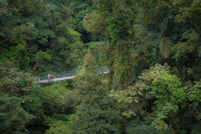 Arenal Hanging Bridges Hiking Tour - Getting There Smoothly From La Fortuna (And Why That Matters)