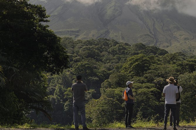 Arenal Volcano Hike Expedition with Optional Hot Springs - What you’re likely to see: rainforest wildlife with a guide doing the spotting