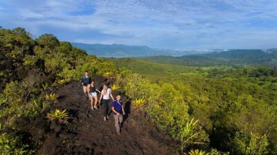Arenal Volcano Hike Expedition with Optional Hot Springs - The rainforest walk to the viewpoint (about 3 km round trip)