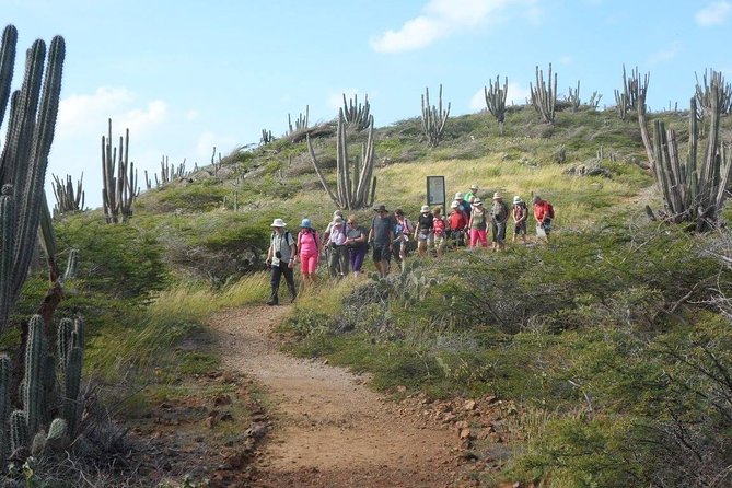 Arikok Adventurous Hiking Experience in Aruba - Visitors’ Center: Endemic Animals and Why the Park Feels So Different