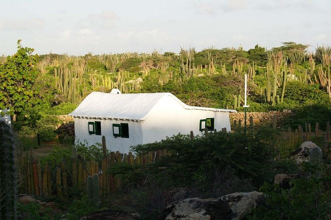Arikok Adventurous Hiking Experience in Aruba - History Along the Trail: Rock Formations, Cave Paintings, and Old Adobe