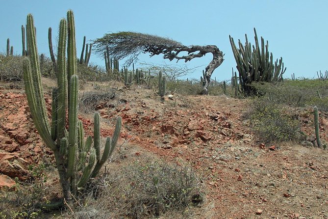 Arikok Adventurous Hiking Experience in Aruba - Price and Value: Why $57 Can Make Sense Here