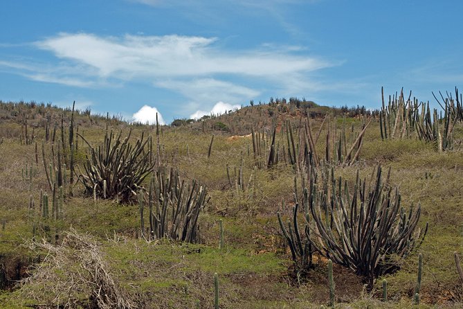 Arikok Adventurous Hiking Experience in Aruba - Should You Book This Arikok Hiking Experience?