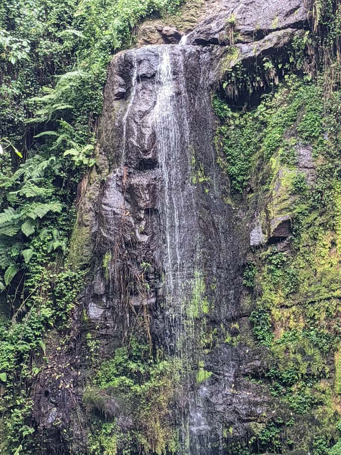 Arusha: Napuru Waterfalls Guided Hike - Napuru Waterfalls Hike: What You Really Do and See