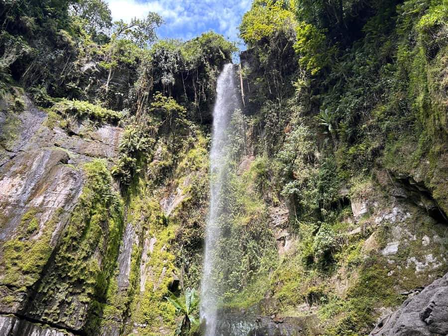 Arusha: Napuru Waterfalls Guided Hike - The Walking Route: Arusha Pickup to Napuru Falls