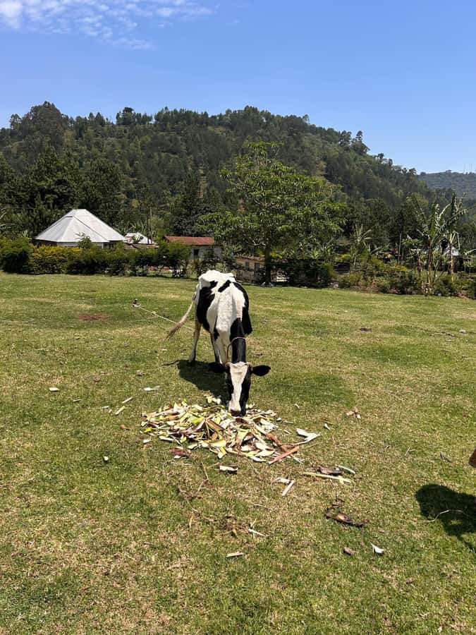 Arusha: Napuru Waterfalls Guided Hike - Time, Pace, and Physical Reality (So You Can Choose Wisely)