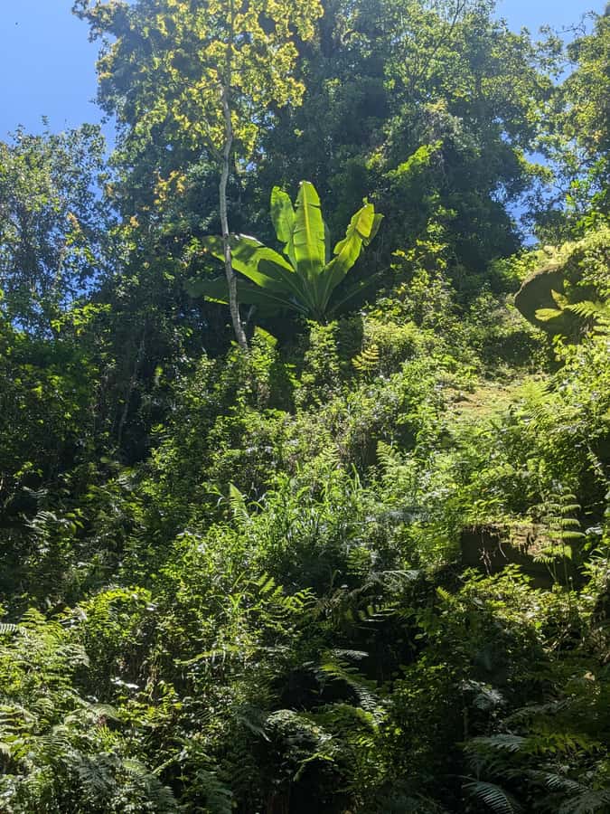 Arusha: Napuru Waterfalls Guided Hike - What the Waterfall Experience Feels Like