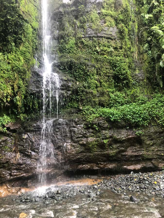 Arusha: Napuru Waterfalls Guided Hike - Should You Book the Napuru Waterfalls Guided Hike with Uhuru Adventures?