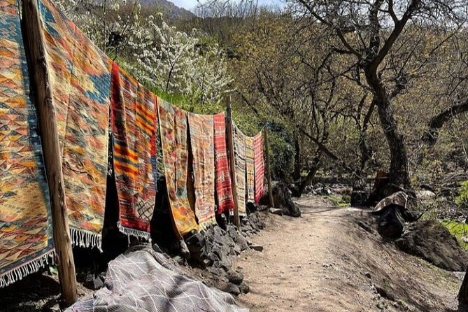 Atlas Mountains Full-Day Hiking Trip from Marrakech - Moulay Brahim Gorges: trailhead energy and camel time