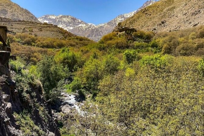 Atlas Mountains Full-Day Hiking Trip from Marrakech - Pace, comfort, and who this hike fits best