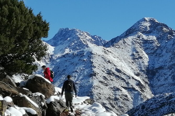 Atlas Mountains Guided Day Hike - Tizi Oussem Lunch at About 2,500m