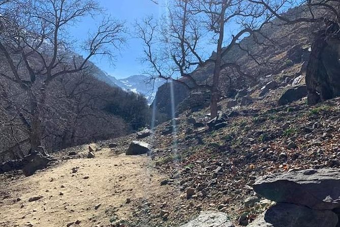 Atlas Mountains, Waterfalls Day Hike & Trek From Marrakech - Waterfalls and gorges: where the scenery earns the effort