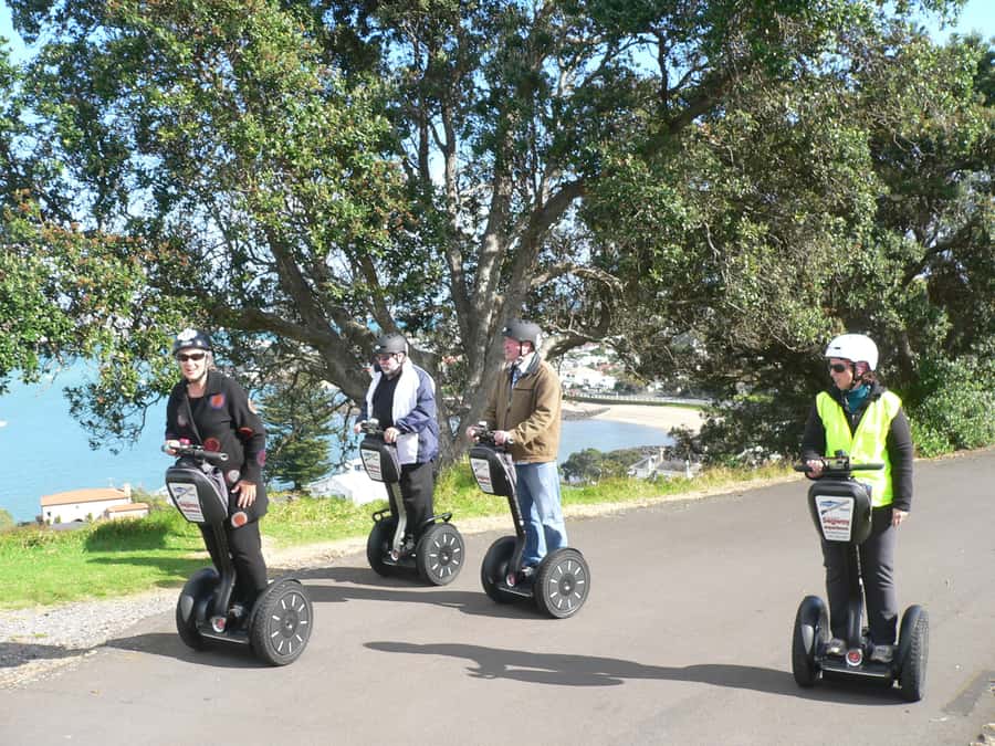 Auckland: Segway to North Head Volcano Summit - Maungauika Summit: Hauraki Gulf Panoramas and City Views