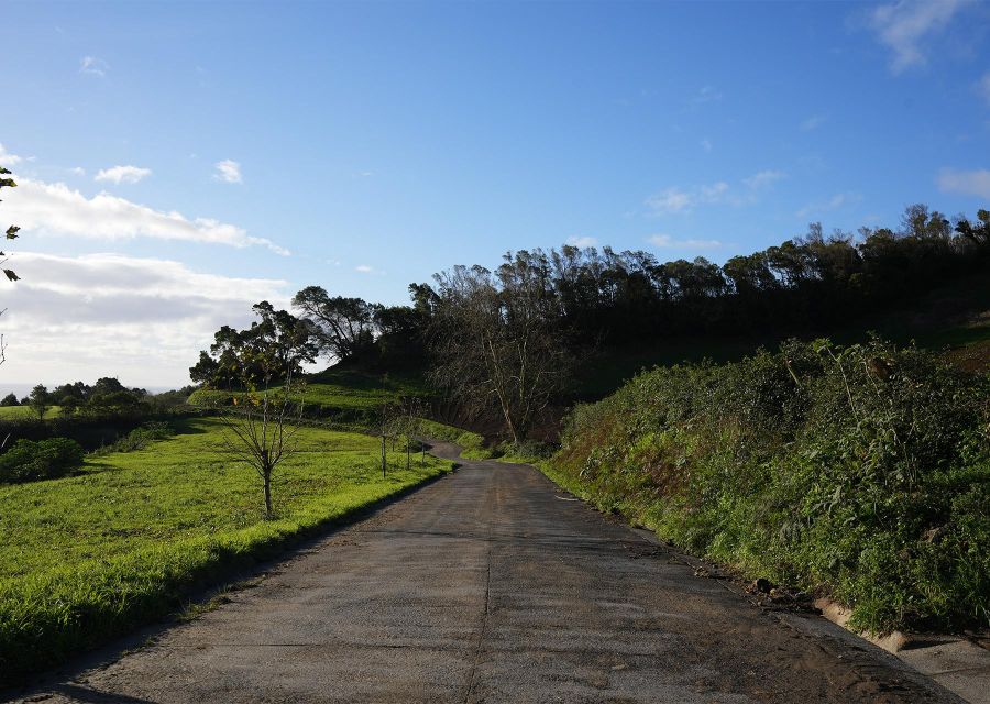 Azores: São Miguel and Lagoa do Fogo Hiking Trip - The levada section: where old water systems meet protected nature