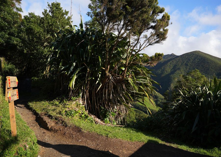 Azores: São Miguel and Lagoa do Fogo Hiking Trip - Reaching Lagoa do Fogo: the lake moment you came for