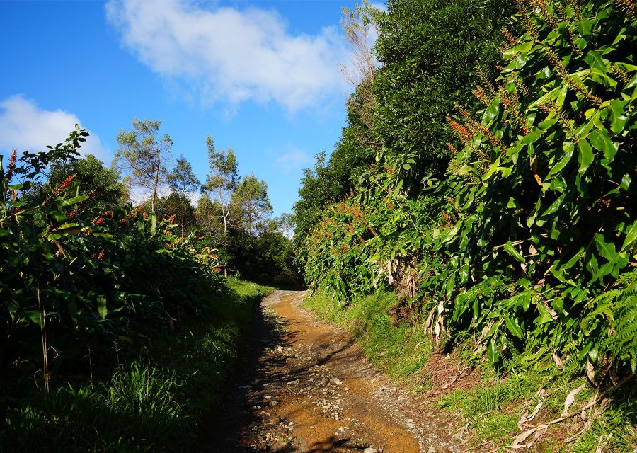 Azores: São Miguel and Lagoa do Fogo Hiking Trip - Vila Franca do Campo and Caloura stops on the way back
