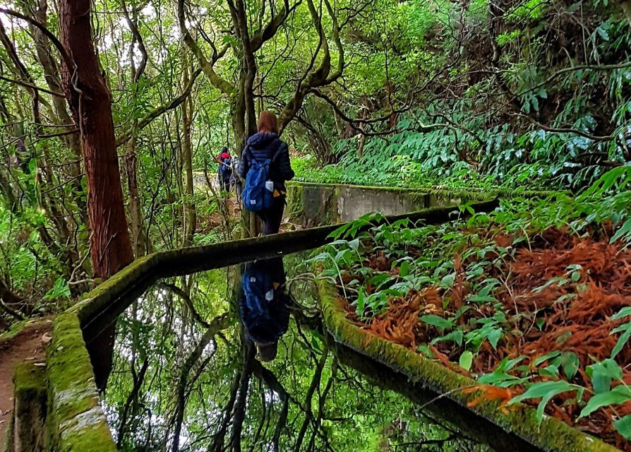 Azores: São Miguel and Lagoa do Fogo Hiking Trip - The return ride and how to finish your day in peace