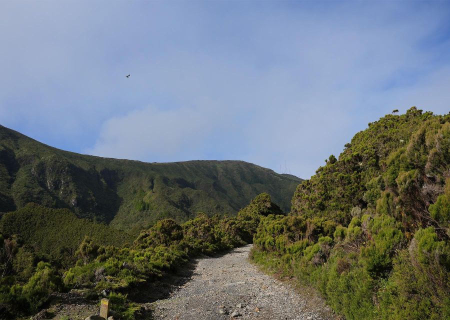 Azores: São Miguel and Lagoa do Fogo Hiking Trip - The climb to Vila Franca do Campo views: pastures, cryptomeria, and heather