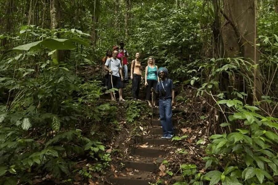 Babonneau/Castries: Rainforest Zip Line, Tram, and Hike Tour - Canopy Zip Line: 9 Platforms, 8 Lines, and Triple-Secured Confidence