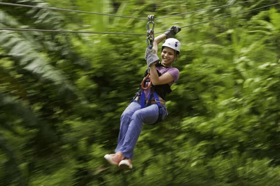 Babonneau/Castries: Rainforest Zip Line, Tram, and Hike Tour - The Rainforest Hike: Naturalist Learning You Can Actually Use