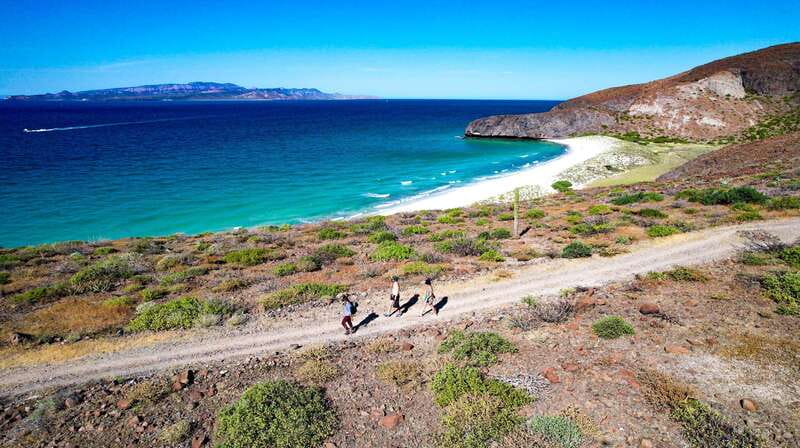 Balandra Adventure: Hike, Kayak, and Snorkel - Lunch at the beach camp: ceviche, cold drinks, and a real breather
