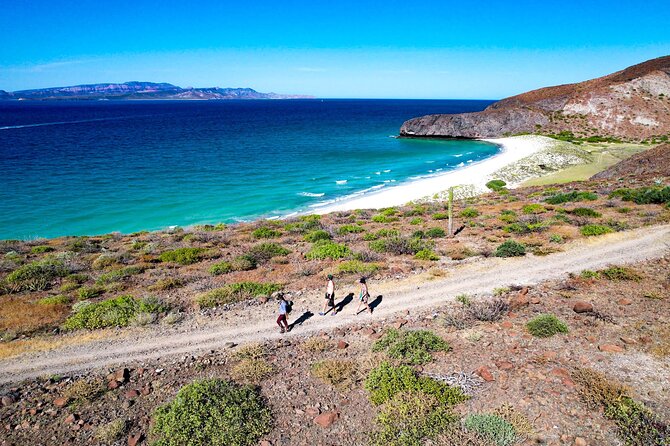 Balandra & Tecolote: hike, kayak and snorkel in paradise - Gear, Group Size, and Guide Style: Why This Feels Personal