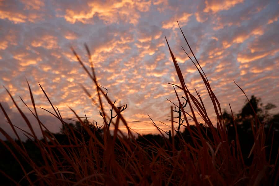 Bali: Mount Batur Entry Ticket on a Guided Hike or Jeep Ride - The summit morning: what you’re actually chasing