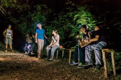 Bali: Mount Batur Sunrise Hike with Breakfast & Hot Spring - Night hike to the summit: what the climb really feels like