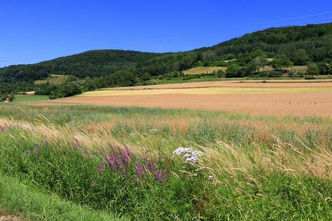 Bamberg Countryside Breweries Beer Hike Food Experience - Price and value: what you’re really paying for