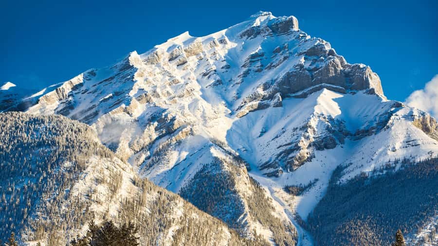 Banff: Gondola Ticket and Johnston Canyon Hiking Tour - Who should book this Banff day tour (and who should skip it)